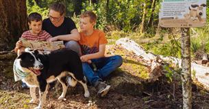 Forest Walkies with Wallace & Gromit