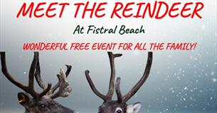 Meet the Reindeers at Fistral Beach