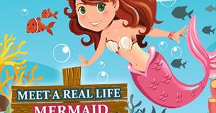 Meet a Real-Life Mermaid at the Blue Reef Aquarium