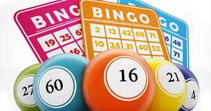 Newquay Lion's Prize Bingo at The Griffin Inn
