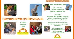 Screech Owl Sanctuary: BREAKFAST WITH THE ANIMALS