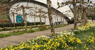 Easter at Eden: Springfest