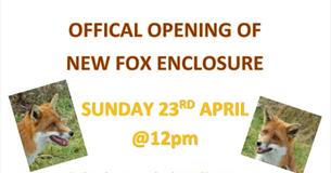 Screech Owl Sanctuary Official Opening of the New Fox Enclosure 2023