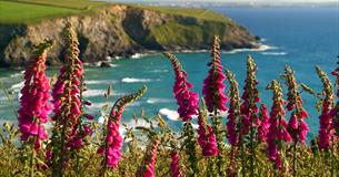 Mawgan Porth Beach - TR8 4BL