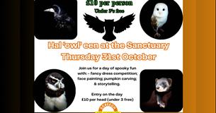 Halloween at the Screech Owl Sanctuary 2024