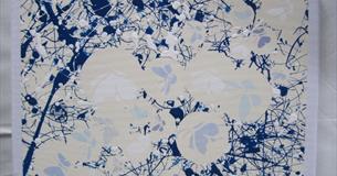 Barbara Peppiatt Art Exhibition at the Shire Hall Gallery