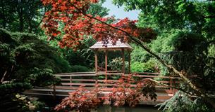 The Japanese Garden