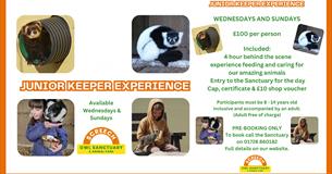 Screech Owl Sanctuary: JUNIOR KEEPER EXPERIENCE (8 - 14 year olds)