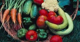 Annual Greenfingers Show at Cubert Village Hall