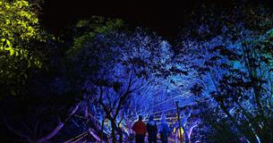 Heligan by Night