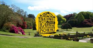 National Garden Scheme at Pencarrow Estate