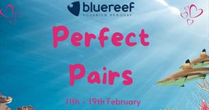 Perfect Pairs at Blue Reef Aquarium this February Half Term