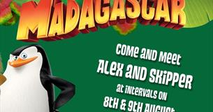 Meet Alex & Skipper from Madagascar at Camel Creek Adventure Park