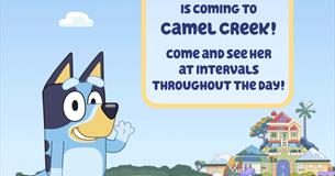 Meet Bluey at Camel Creek Adventure Park
