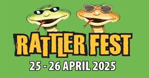 Rattler Fest at Healeys Cornish Cyder Farm