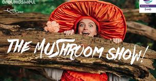 Free Family Show 'The Mushroom Show' on the Killacourt