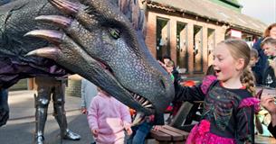 Week of Wizardry at Camel Creek Adventure Park
