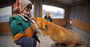 Animal Encounters at Screech owl Sanctuary this May Half Term