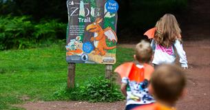 Zog’s Christmas Code at Cardinham Woods