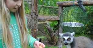 Newquay Zoo