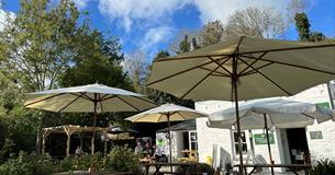 The Garden Cafe Newquay