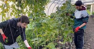 Newquay Orchard - Supported Internship Open Evening