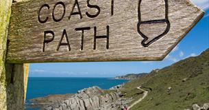 Every Mile Matters - Newquay Circular Walk