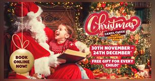 Experience the Magic of Christmas at Camel Creek