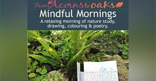 Mindful Mornings with From Acorns to Oaks 2024 at Newquay Orchard