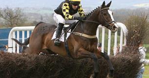 Point to Point Horse Racing at Trebudannon 2024