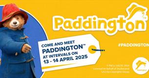 Meet Paddington at Lappa Valley!