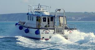 Newquay Sea Safaris and Fishing