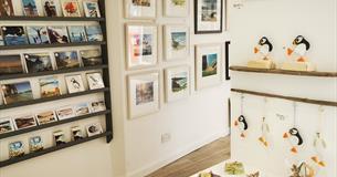 SALTWALLS GALLERY
