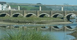 Camel River Festival, Wadebridge, Cornwall