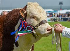 Royal Cornwall Show 2024