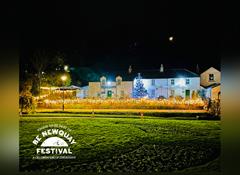 Trees and Tales: Trenance Christmas Lights Switch-On