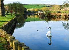 Trenance Gardens and Leisure Park