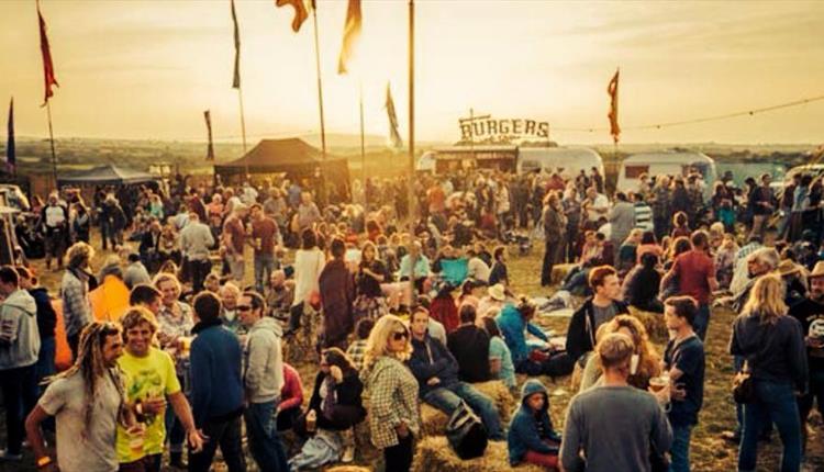 The Little Orchard Cider & Music Festival