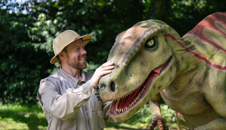 𝐉𝐮𝐫𝐚𝐬𝐬𝐢𝐜 𝐂𝐫𝐞𝐞𝐤 𝐚𝐭 𝐂𝐚𝐦𝐞𝐥 𝐂𝐫𝐞𝐞𝐤 🦖