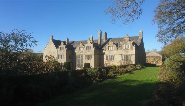 Newquay Society of Artists Showcase Summer Exhibition at Trerice Manor