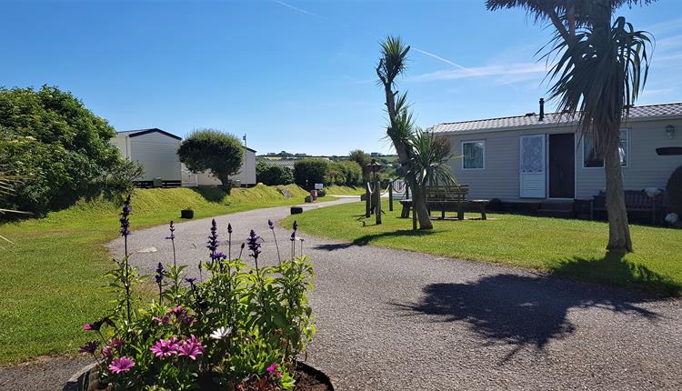 Treworgans Holiday Park