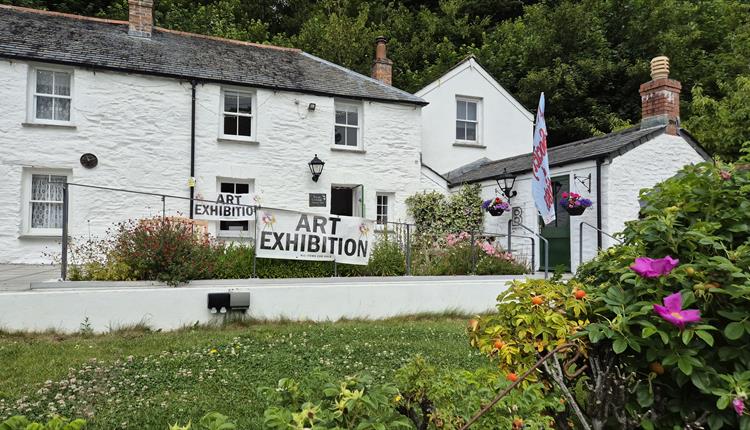 Newquay Society of Artists Trenance Cottages Exhibition