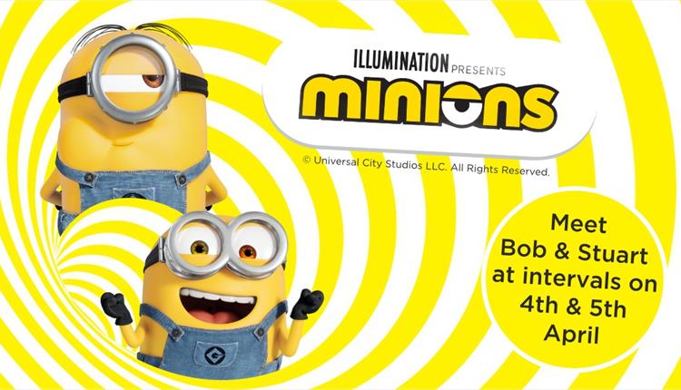 Meet The Minions at Camel Creek Adventure Park 2023