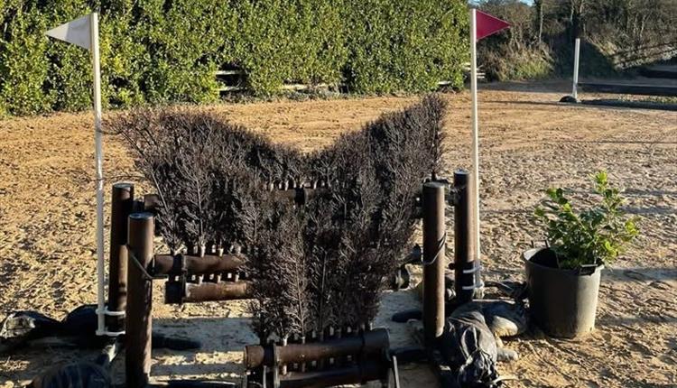 Arena based XC training at Porth Valley