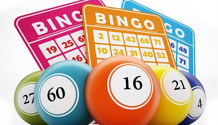 Newquay Lion's Prize Bingo at The Griffin Inn