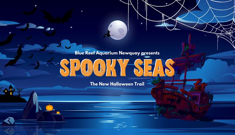 Spooky Seas this October Half Term