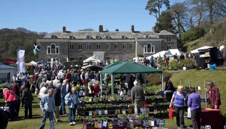 Cornwall Spring Flower Show, Boconnoc