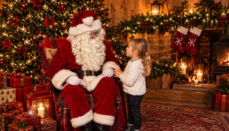 The Magic of Christmas at Camel Creek 2026