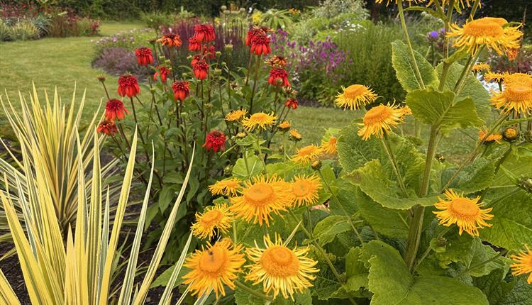 Charity Open Garden at Mitchell Fruit Garden