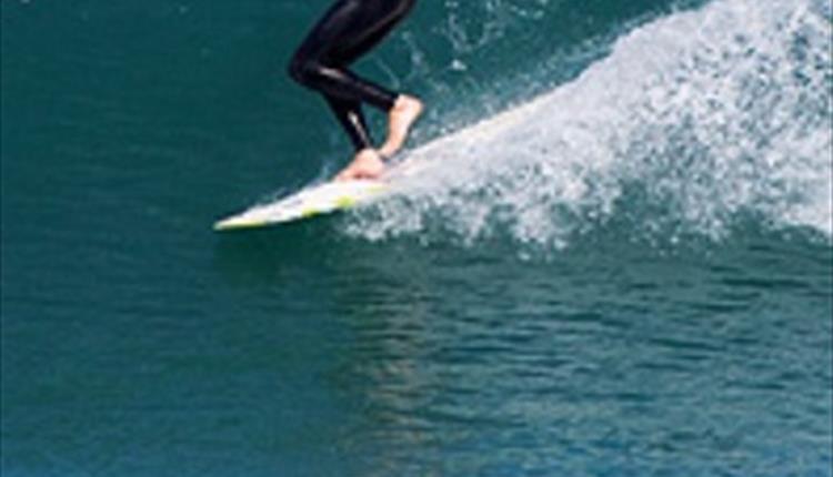 European Pro Longboard Tour